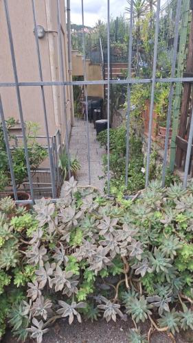 Casetta-Stazione-02
