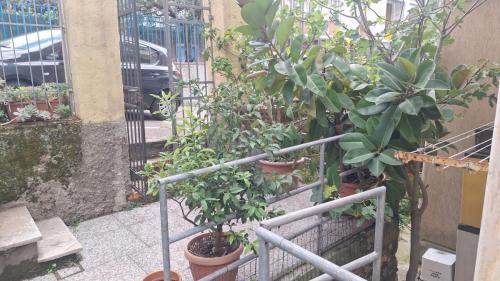 Casetta-Stazione-03